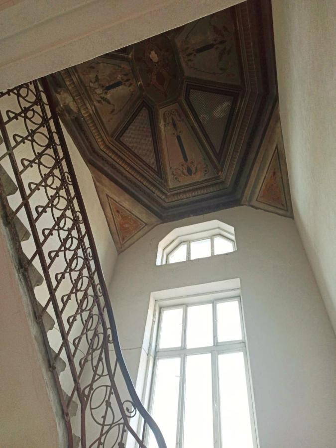 Pangea Daire
